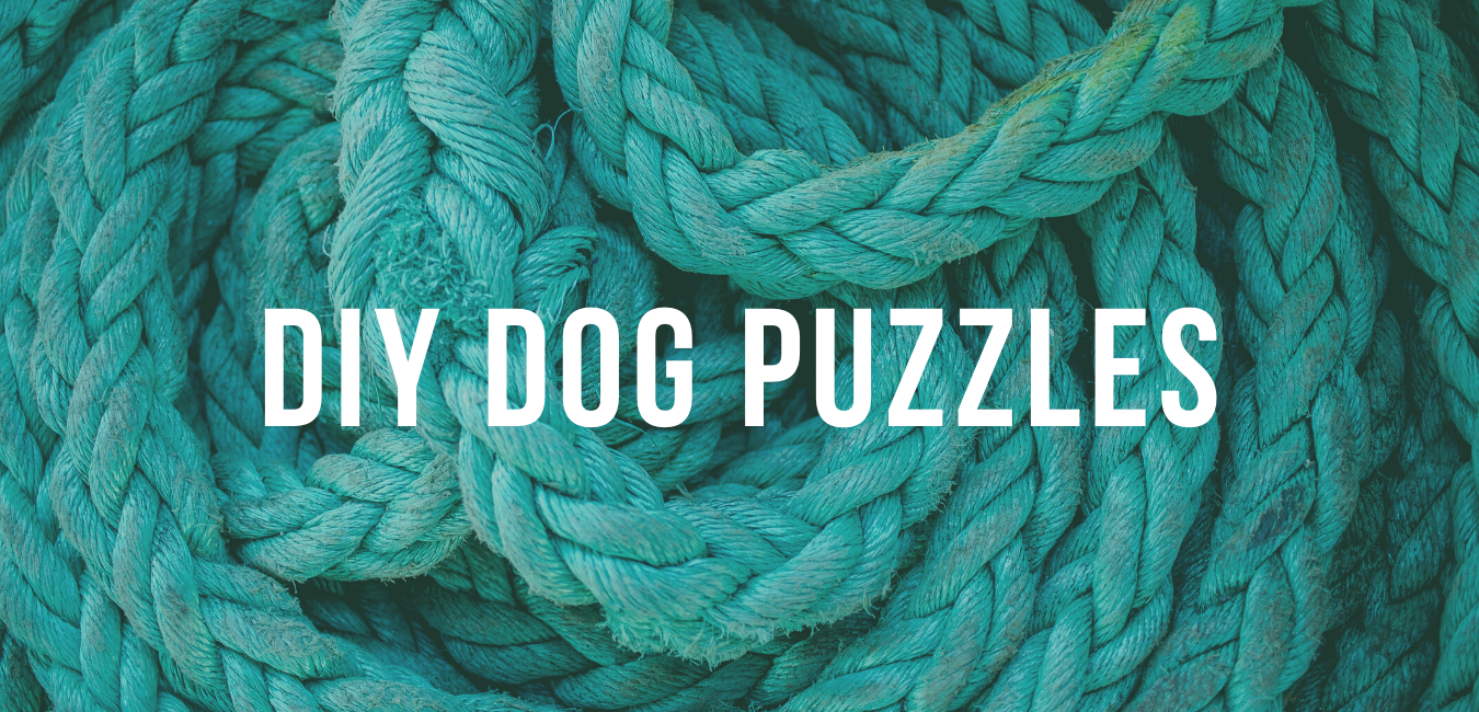 DIY Plastic-Free Food Puzzle for Dogs: Healthy, allergy-friendly