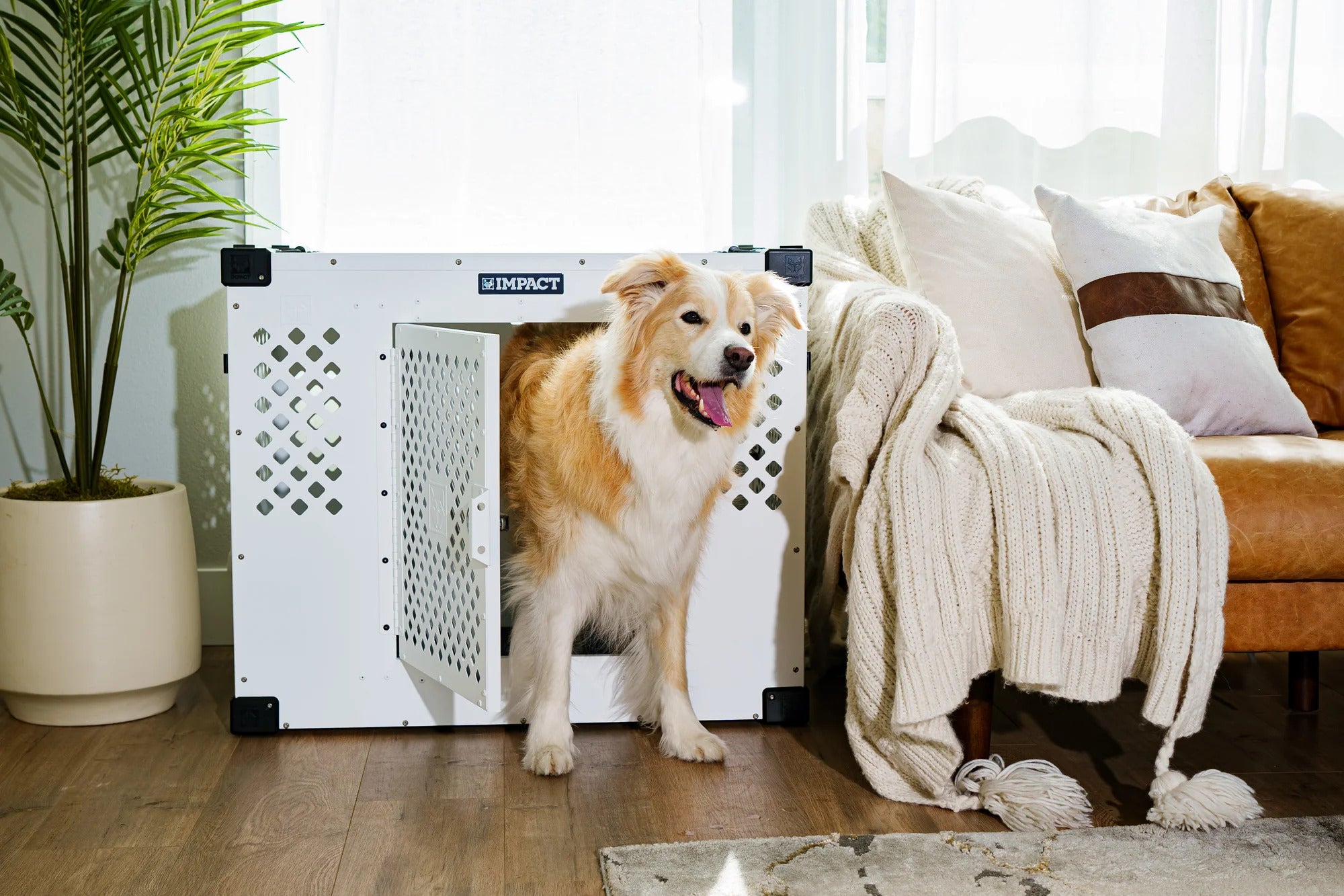 How to Stop a Dog from Chewing on Their Crate Impact Dog Crates