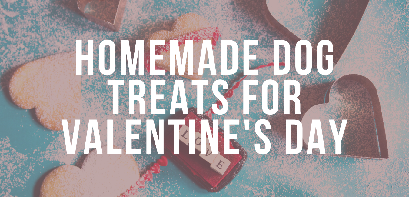 Homemade Valentine's Day Dog Treats – Impact Dog Crates