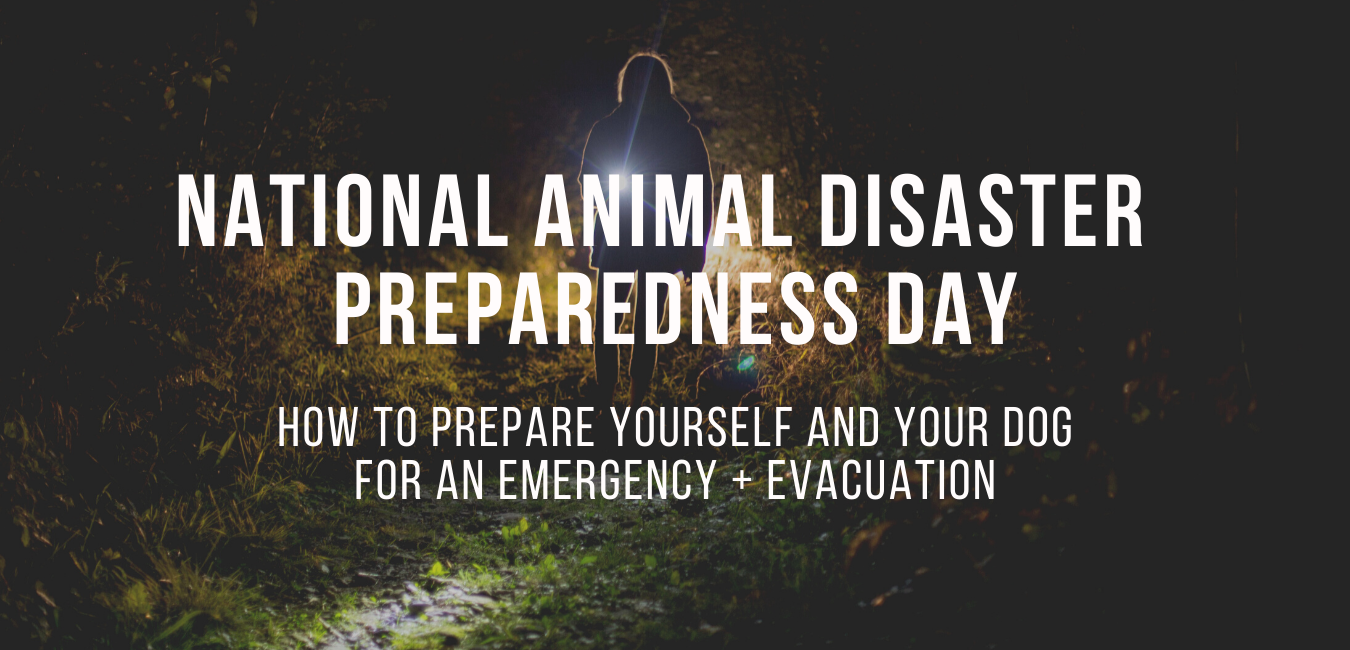 National Animal Disaster Preparedness Day 2025