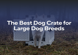 The Best Dog Crate for Large Dog Breeds