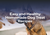 Easy and Healthy Homemade Dog Treat Recipes