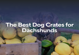 The Best Dog Crates for Dachshunds