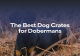 The Best Dog Crates for Dobermans