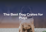 The Best Dog Crates for Pugs