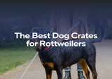 The Best Dog Crates for Rottweilers