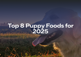 Top 8 Puppy Foods for 2025