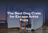 The Best Dog Crate for Escape Artist Pups