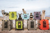 Dog Crate Sizing Guide: How To Choose To Perfect Size For Your Dog or Puppy