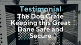 Testimonial: The Dog Crate Keeping this Great Dane Safe and Secure