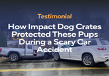 Testimonial: How Impact Dog Crates Protected These Pups During a Scary Car Accident