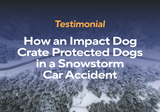 Testimonial: How an Impact Dog Crate Protected Dogs in A Snowstorm Car Accident