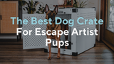 The Best Dog Crate for Escape Artist Pups