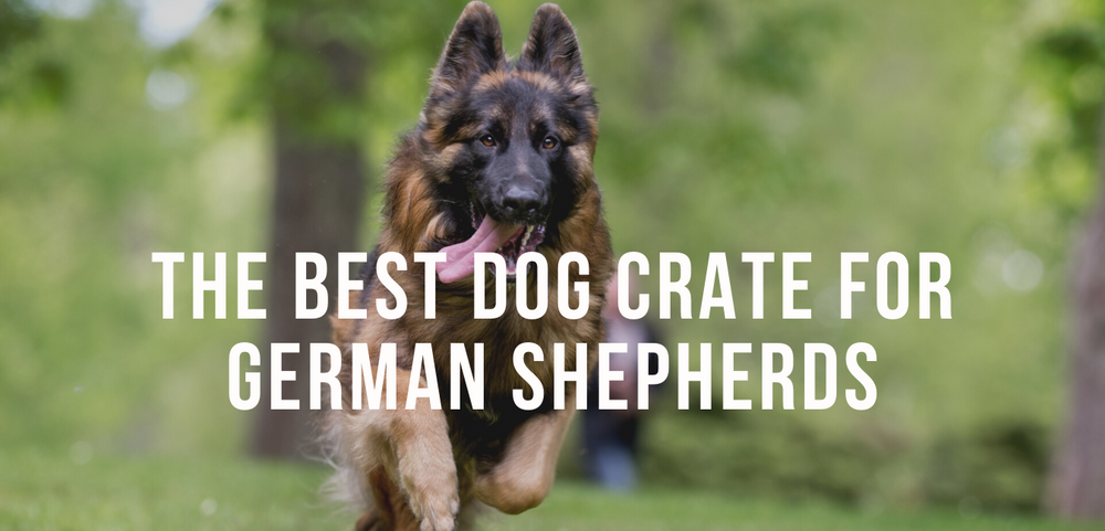 The Best Dog Crate for Shepherds – Impact Dog Crates
