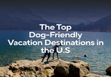 The Top Dog-Friendly Vacation Destinations in the U.S.