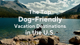 The Top Dog-Friendly Vacation Destinations in the U.S.