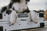 dog siting on top of a collapsed dog crate