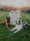 2 dogs sitting in front of their collapsible dog crate