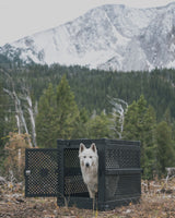 white dog crate with the mountains in the background inside of a black collapsible dog crate