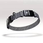 Fi Dog Collar