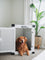 Golden Retriever Laying Down Inside of a white High Anxiety Crate with the door open