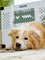 border collie laying down in front of a side door white stationary crate