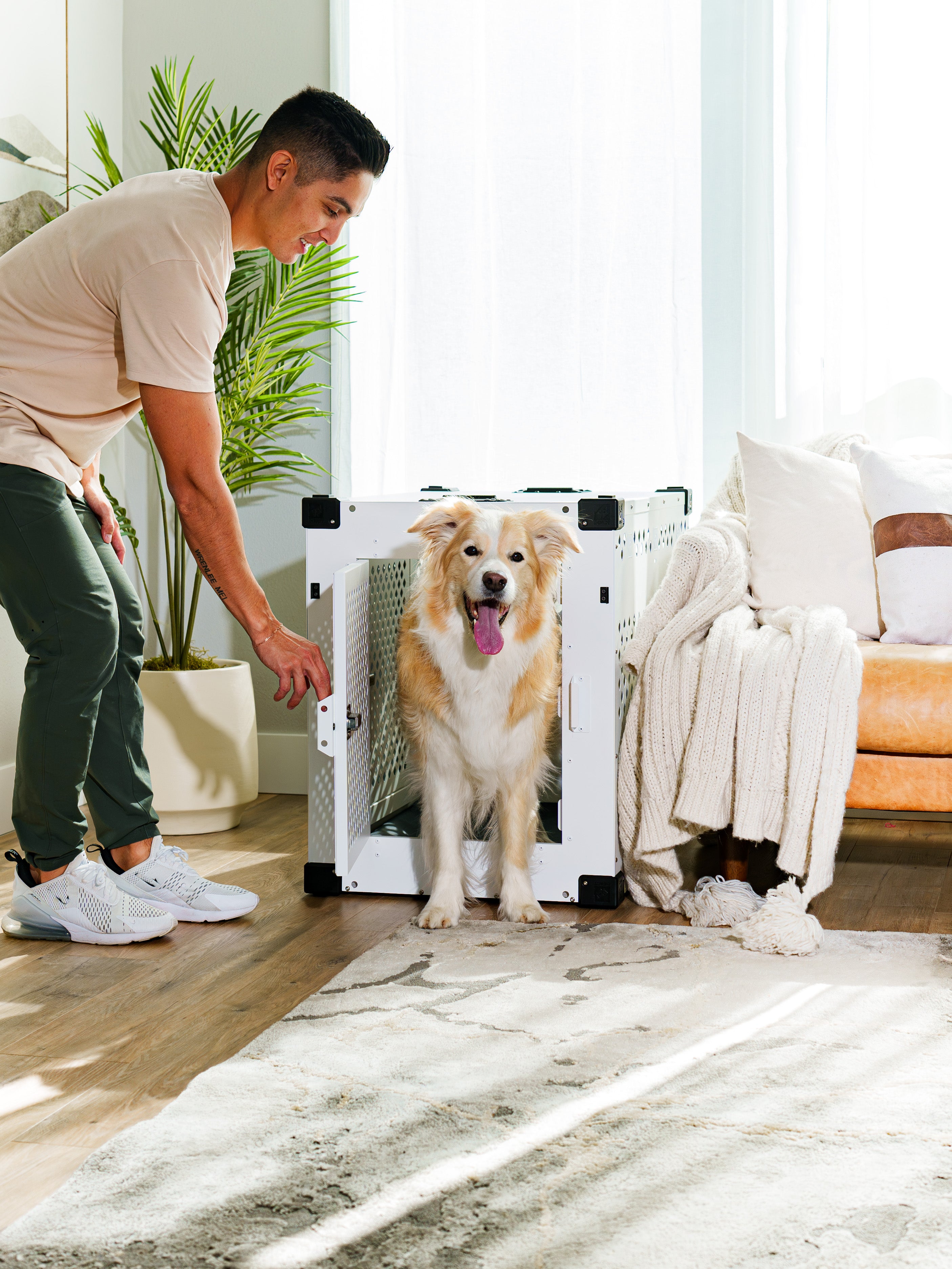 Border collie standing outside of their stationary dog crate in a modern well lit room