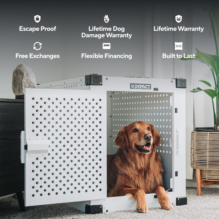 Impact Dog Crates 30 Gray