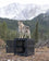 A wolf mixed breed standing on top of their black collapsible dog crate with a view of pine trees and a snowy mountain in the background