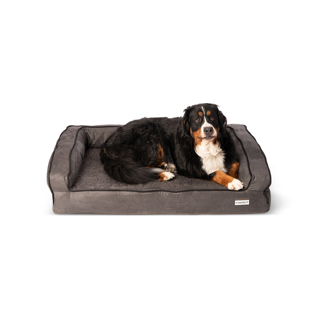 Orthopedic Dog Bed With Memory Foam